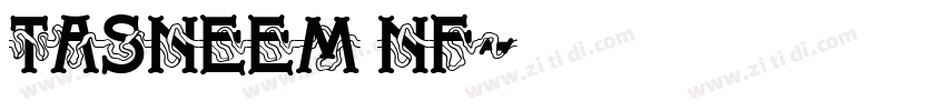 Tasneem NF字体转换